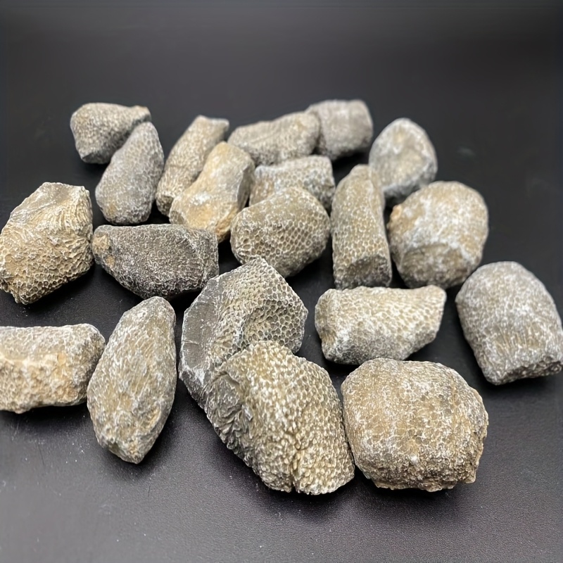 Aquarium Marine Rock - Roccia di Corallo Naturale Adatta per