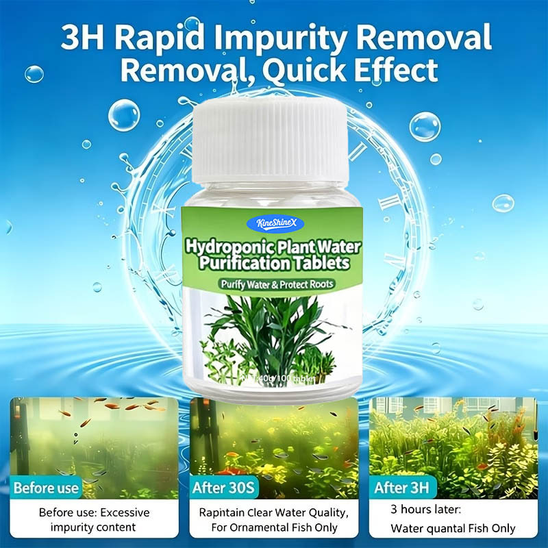 Compresse per la Purificazione - Aquarium Marine Plants recensione e prezzo