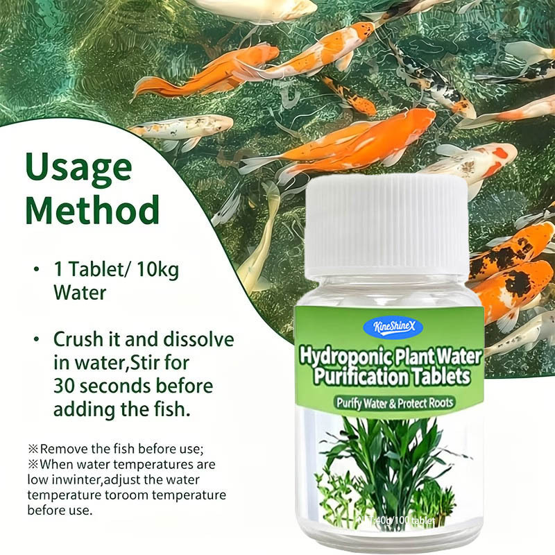 Compresse per la Purificazione - Aquarium Marine Plants recensione e prezzo