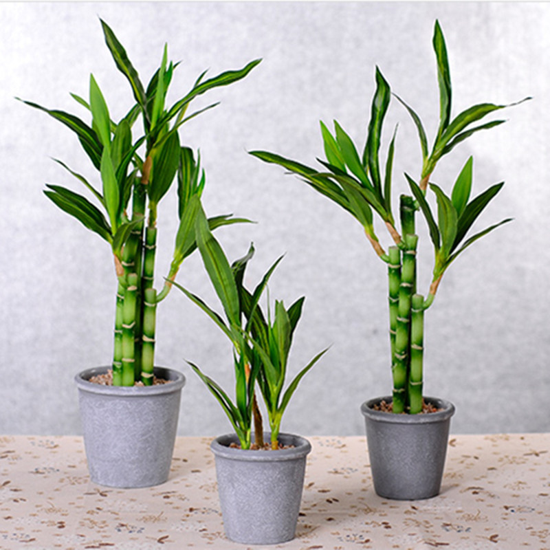 Nuovo 40 cm rFtificial Lucky B - Aquarium Marine Plants recensione e prezzo