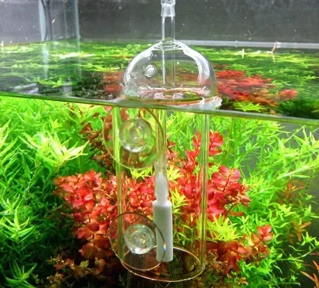VIV Do Dispositivo Cilindro pe - Aquarium Marine Plants recensione e prezzo