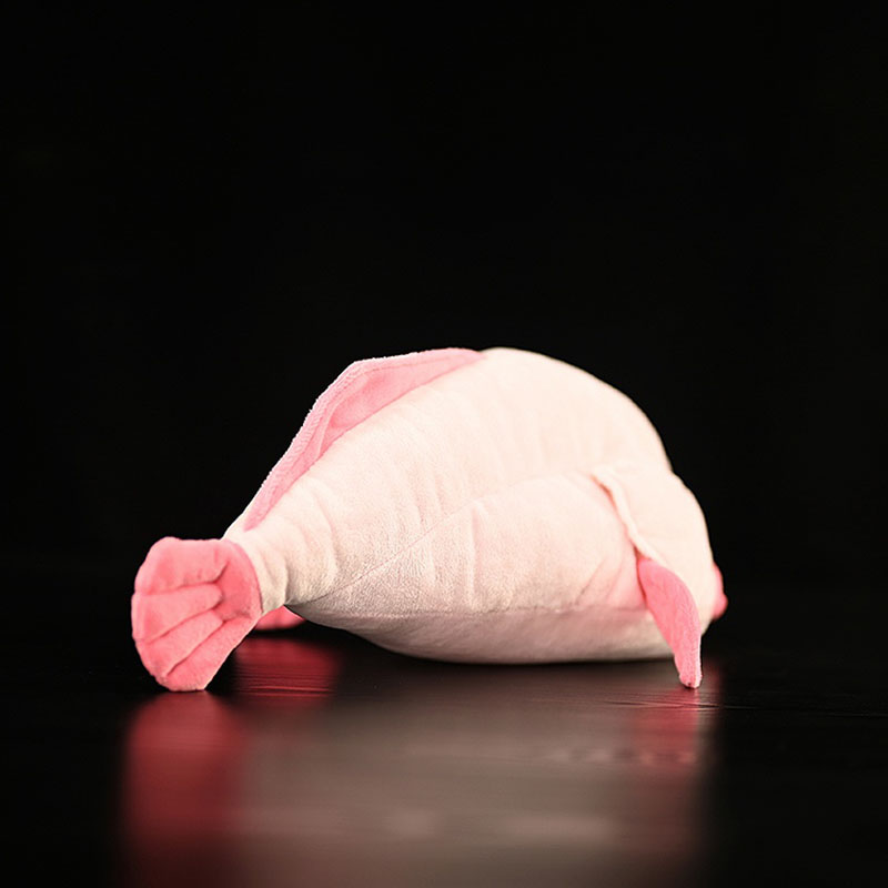 Animale simulato Blobfish Mare - Aquarium And Marine Museum recensione e prezzo