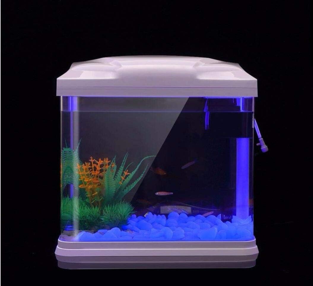 Rocce per acquari che si illum - Aquarium Marine Plants recensione e prezzo