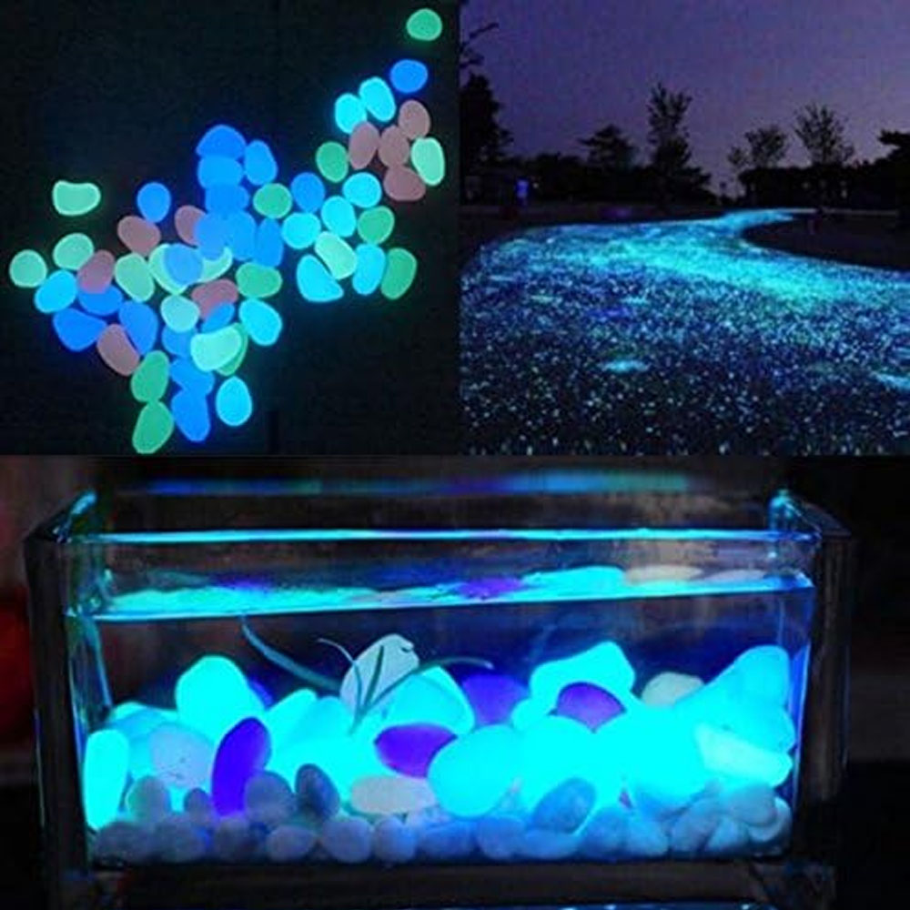Rocce per acquari che si illum - Aquarium Marine Plants recensione e prezzo