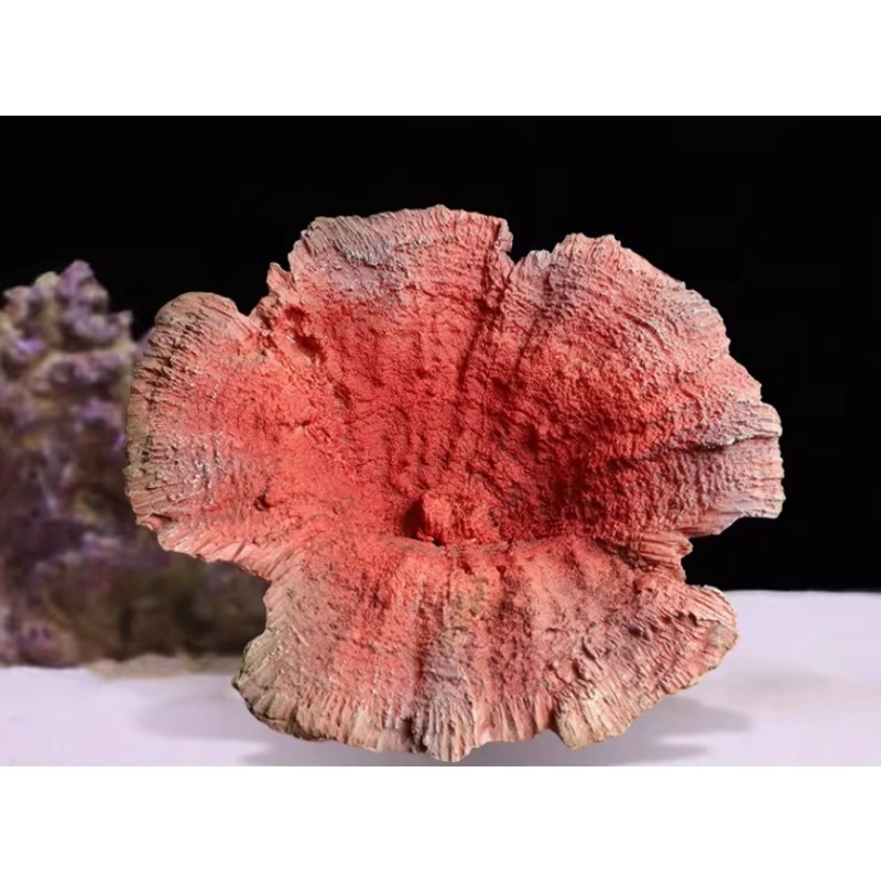 Decorazione Artigianale per Ac - Aquarium Marine Rock recensione e prezzo