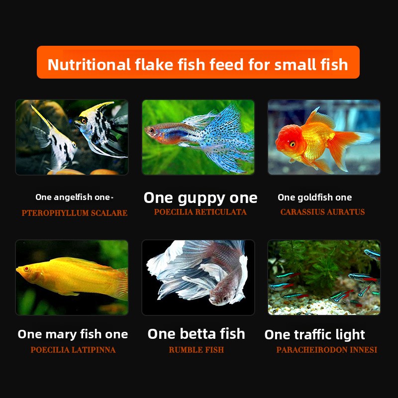 DaJiaWa Spirulina Flake Fish F - Tetra Food Goldfish Flakes recensione e prezzo