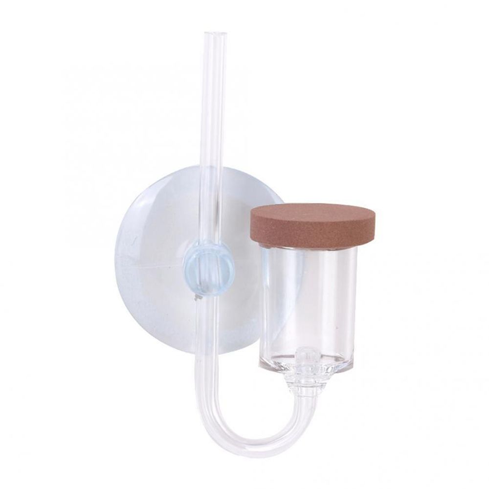 Mini acquario acrilico Pianta  - Aquarium Marine Plants recensione e prezzo