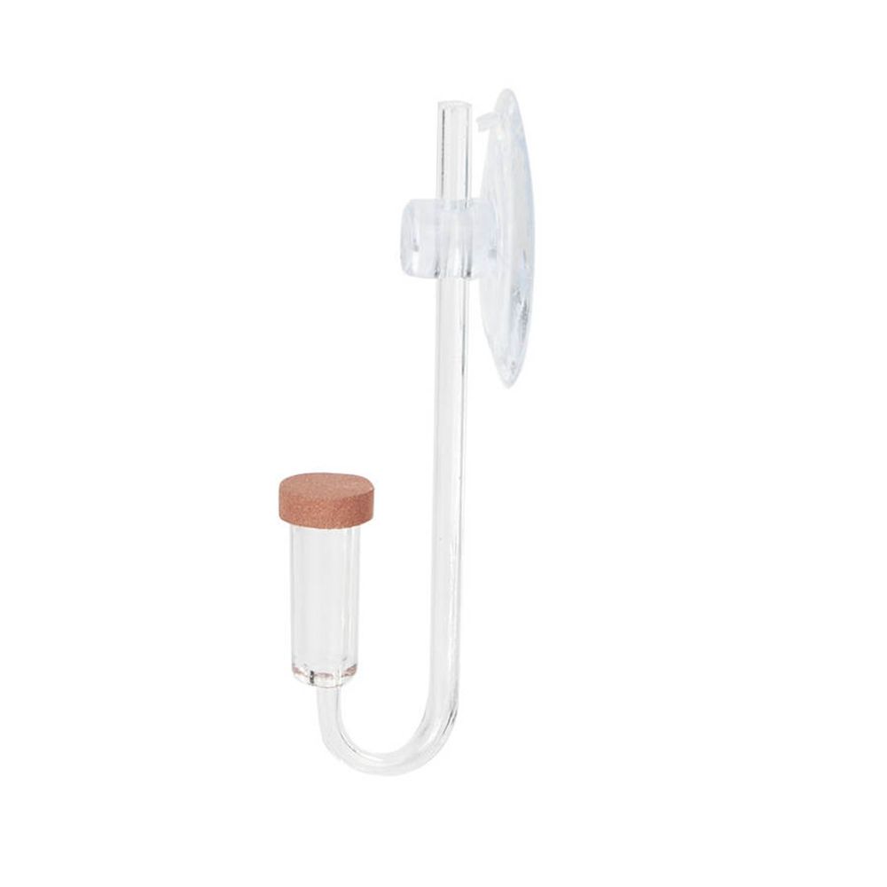 Mini acquario acrilico Pianta  - Aquarium Marine Plants recensione e prezzo