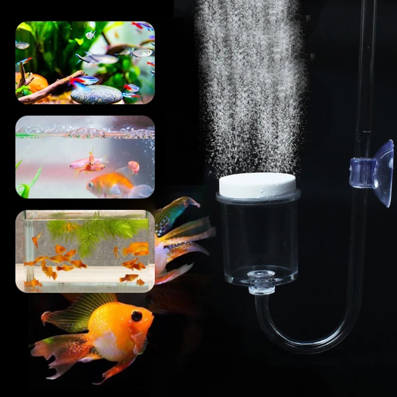 Set da 4 pezzi diffusore di CO - Aquarium Marine Plants recensione e prezzo