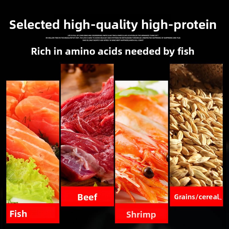 Mangime per Pesci Ornamentali  - Marine Aquarium Uv Filter recensione e prezzo