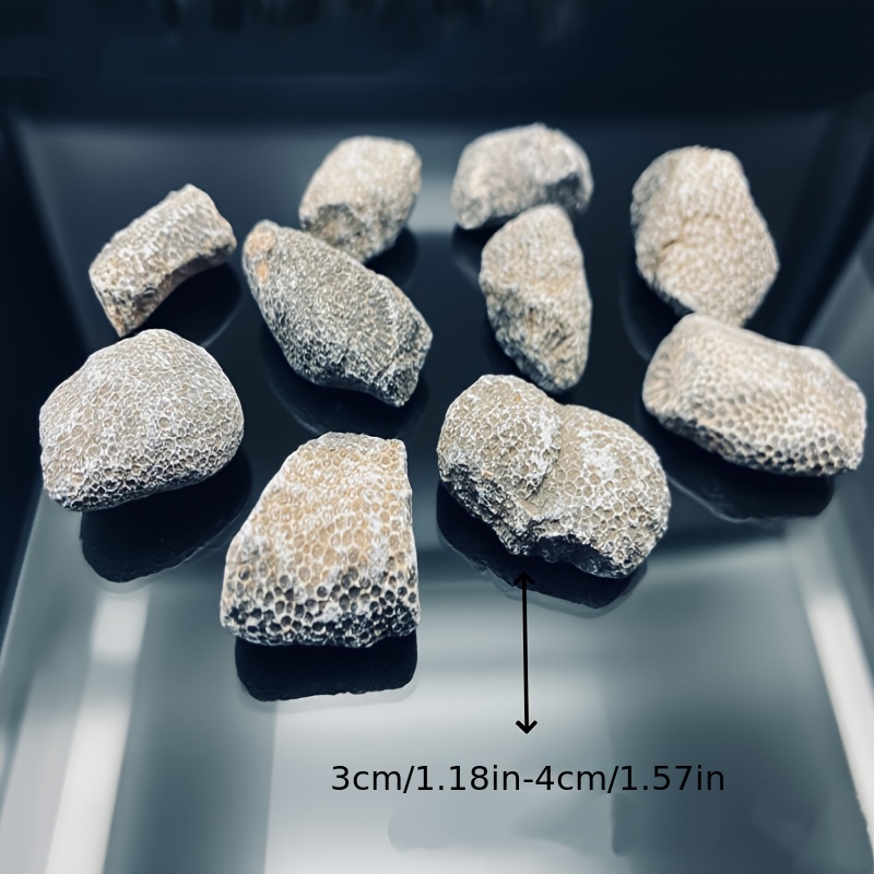 Roccia di Corallo Naturale Ada - Aquarium Marine Rock recensione e prezzo